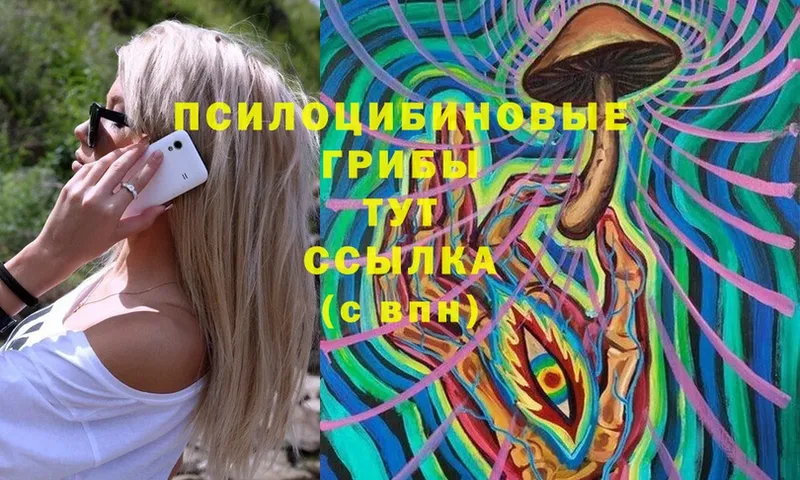 Галлюциногенные грибы Cubensis  где найти наркотики  Собинка 